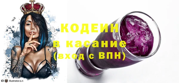 индика Арсеньев