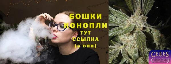 индика Арсеньев