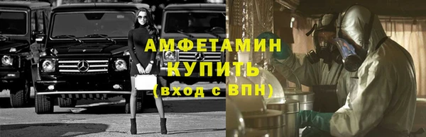 индика Арсеньев