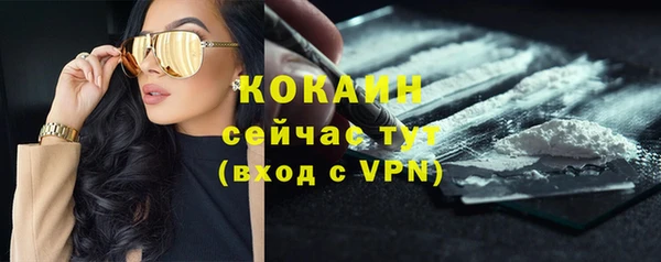 индика Арсеньев