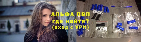 индика Армянск