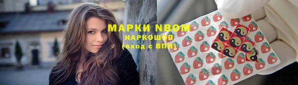 индика Армянск