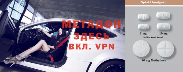 индика Арсеньев