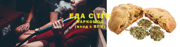 индика Армянск