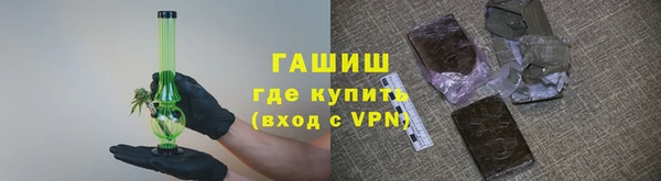 индика Арсеньев