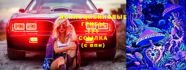 индика Армянск