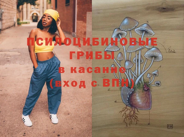 индика Армянск