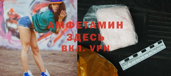 индика Арсеньев