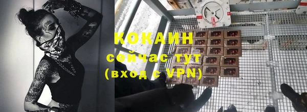 индика Арсеньев