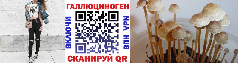 Галлюциногенные грибы MAGIC MUSHROOMS  Пыталово 